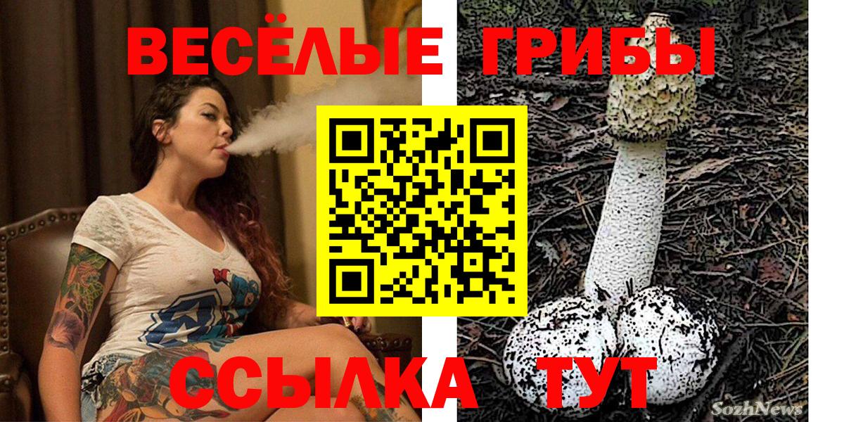 Псилоцибиновые грибы Magic Shrooms  Вход с VPN  Псилоцибиновые грибы прущие грибы  Прокопьевск 